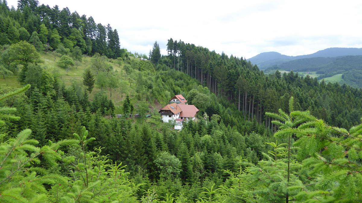 Erbsengrund im Schwarzwald