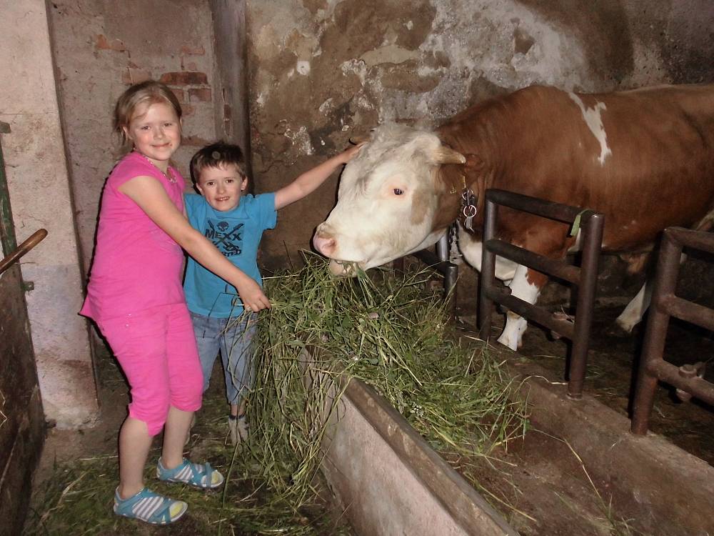 Tiere hautnah erleben